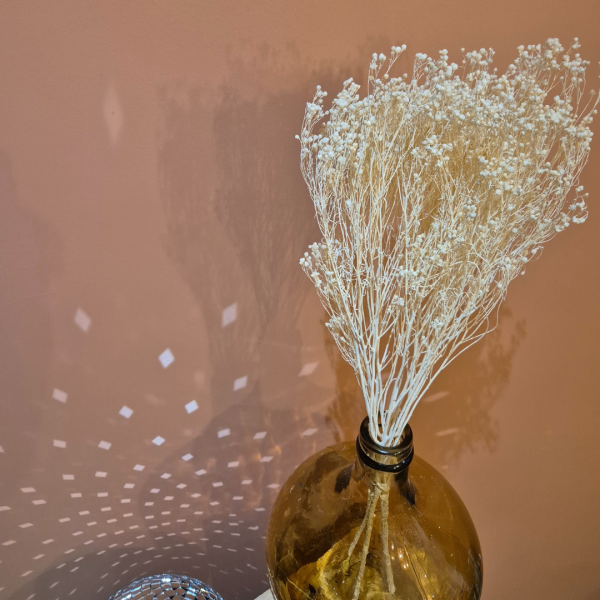 Broom bloom blanc – Image 4