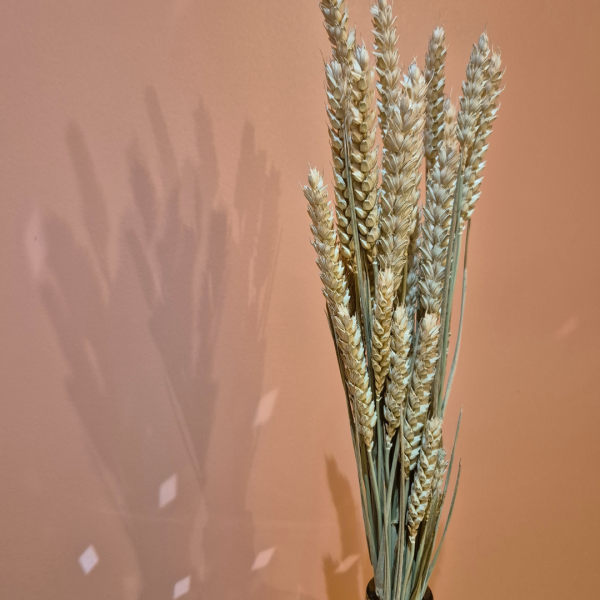 Blé naturel – Image 2