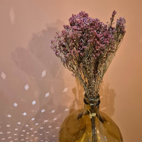 Broom bloom rouge – Image 2