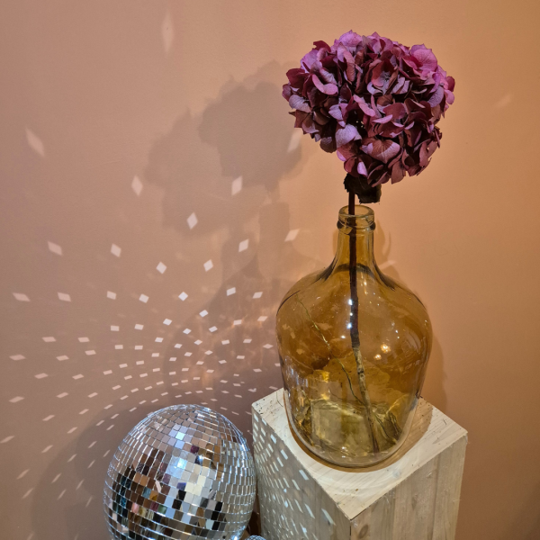 Hortensia stabilisé bordeau – Image 3