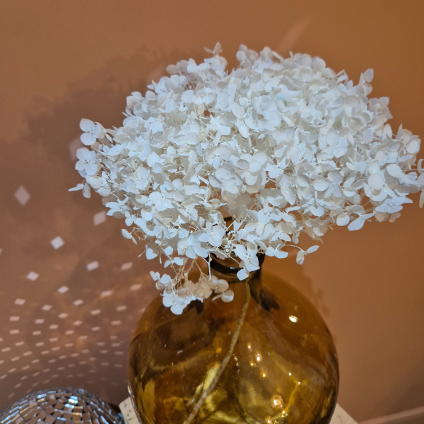 Hortensia stabilisé blanc – Image 2