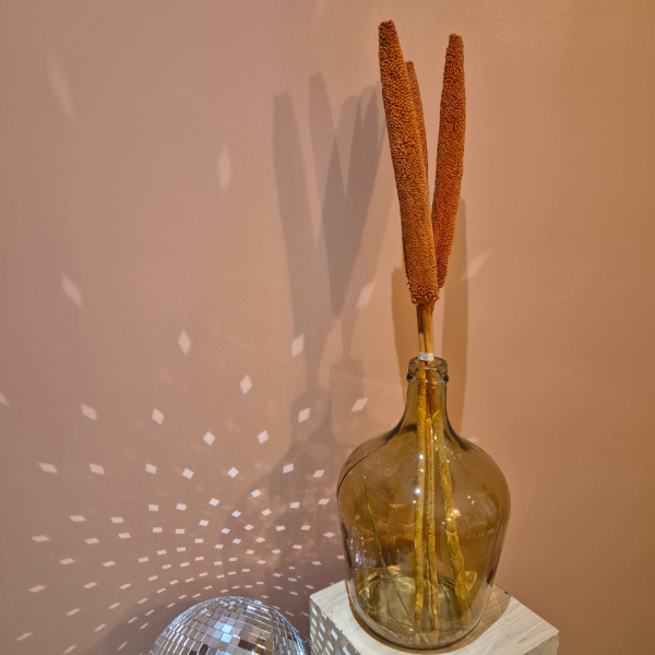 babala orange – Image 2