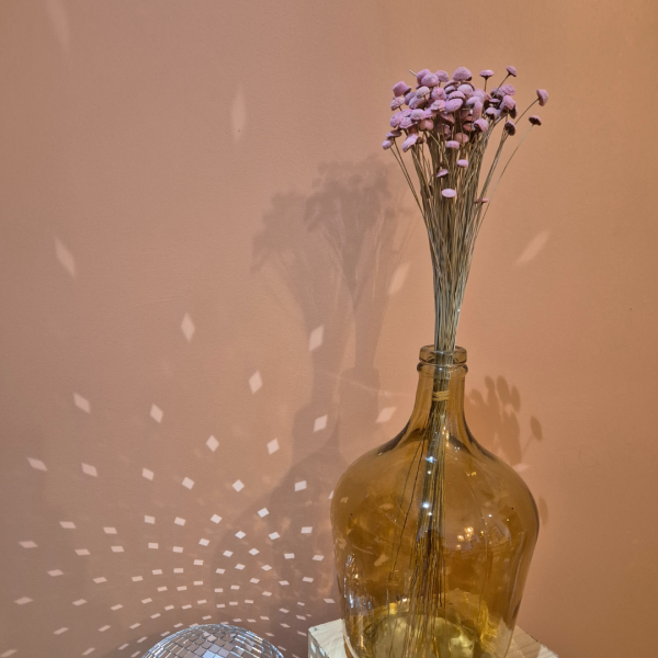 Botao rose – Image 3