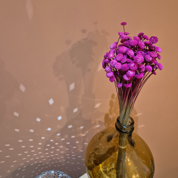Botao fushia – Image 2