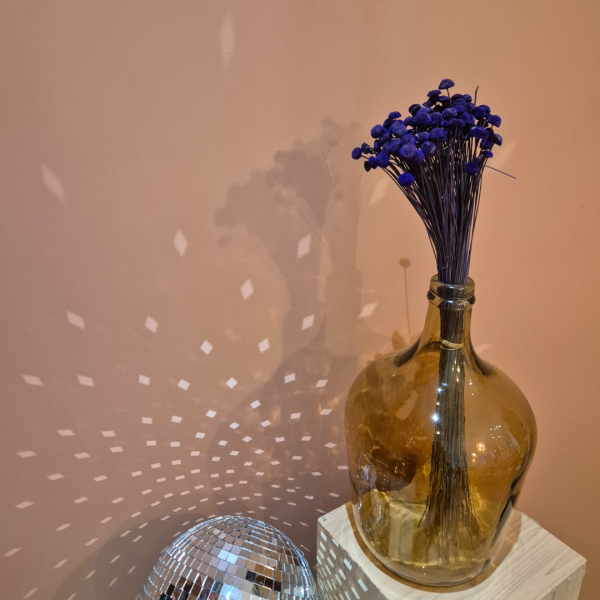 Botao violet – Image 3