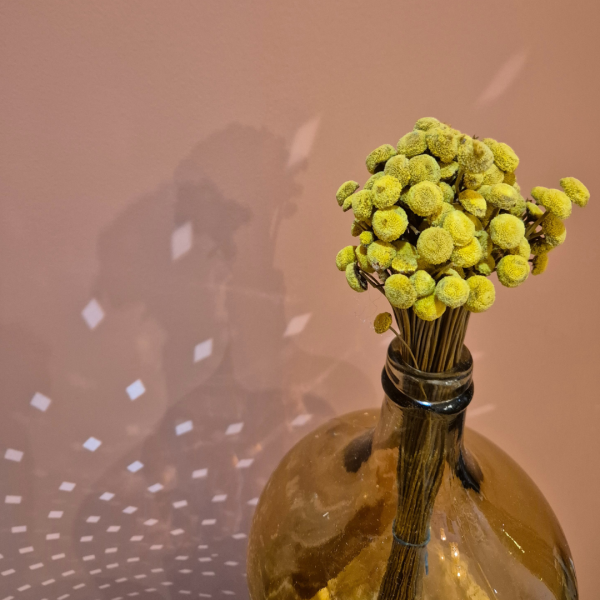 Botao jaune – Image 2