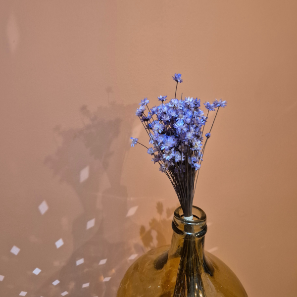 Glixia violet – Image 2