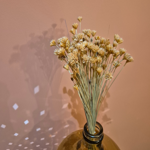 Fleurs des collines – Image 2