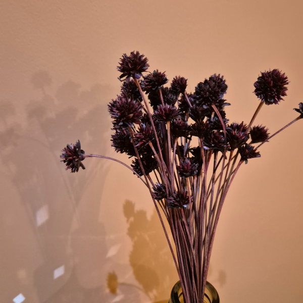 Fleurs des collines bordeau – Image 2