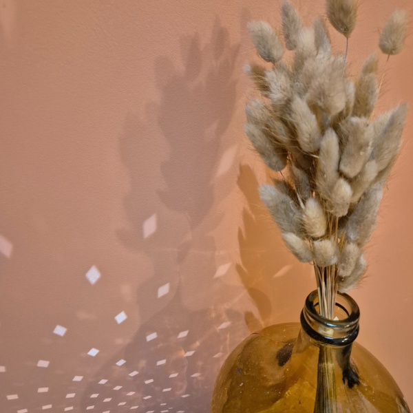 Lagurus naturel – Image 2