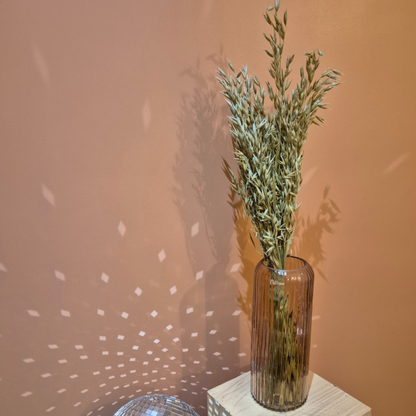 Avoine naturel – Image 3