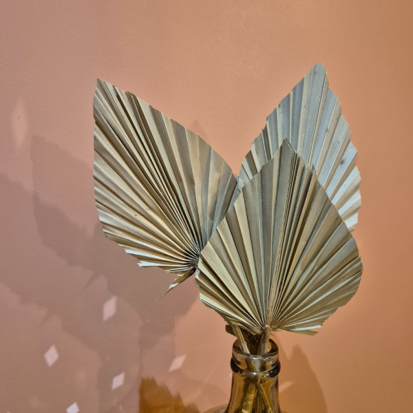Feuille de palme – Image 2