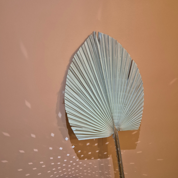 Grande feuille de palme – Image 2