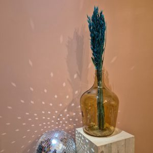avoine bleu