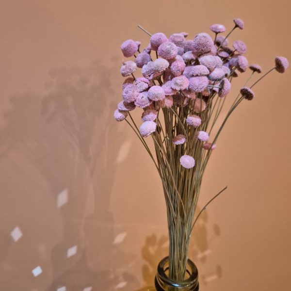 botte de botao rose