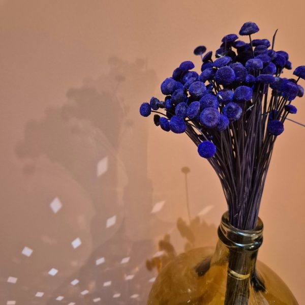 botte de botao violet