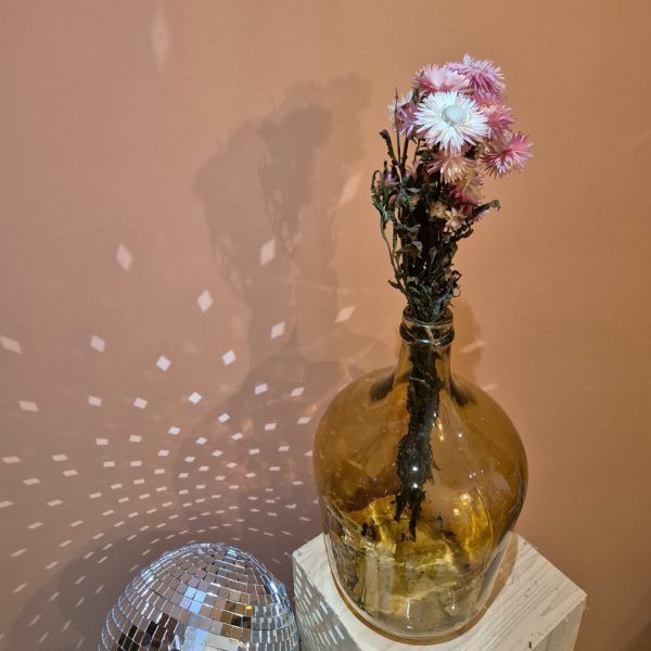 botte fleurs séchées helichrysume rose