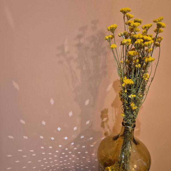 botte lona fleurs séchées