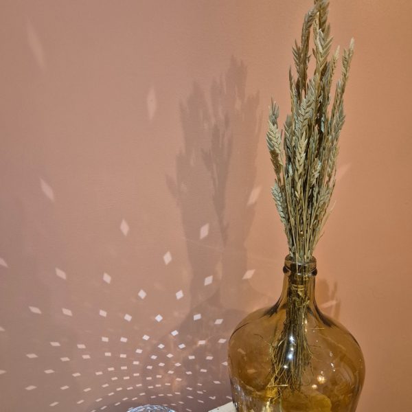 Spiga d'or – Image 3