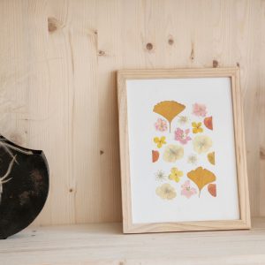 atelier fleurs séchées herbiers