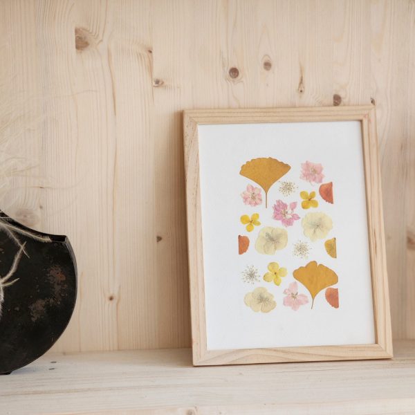 atelier fleurs séchées herbiers