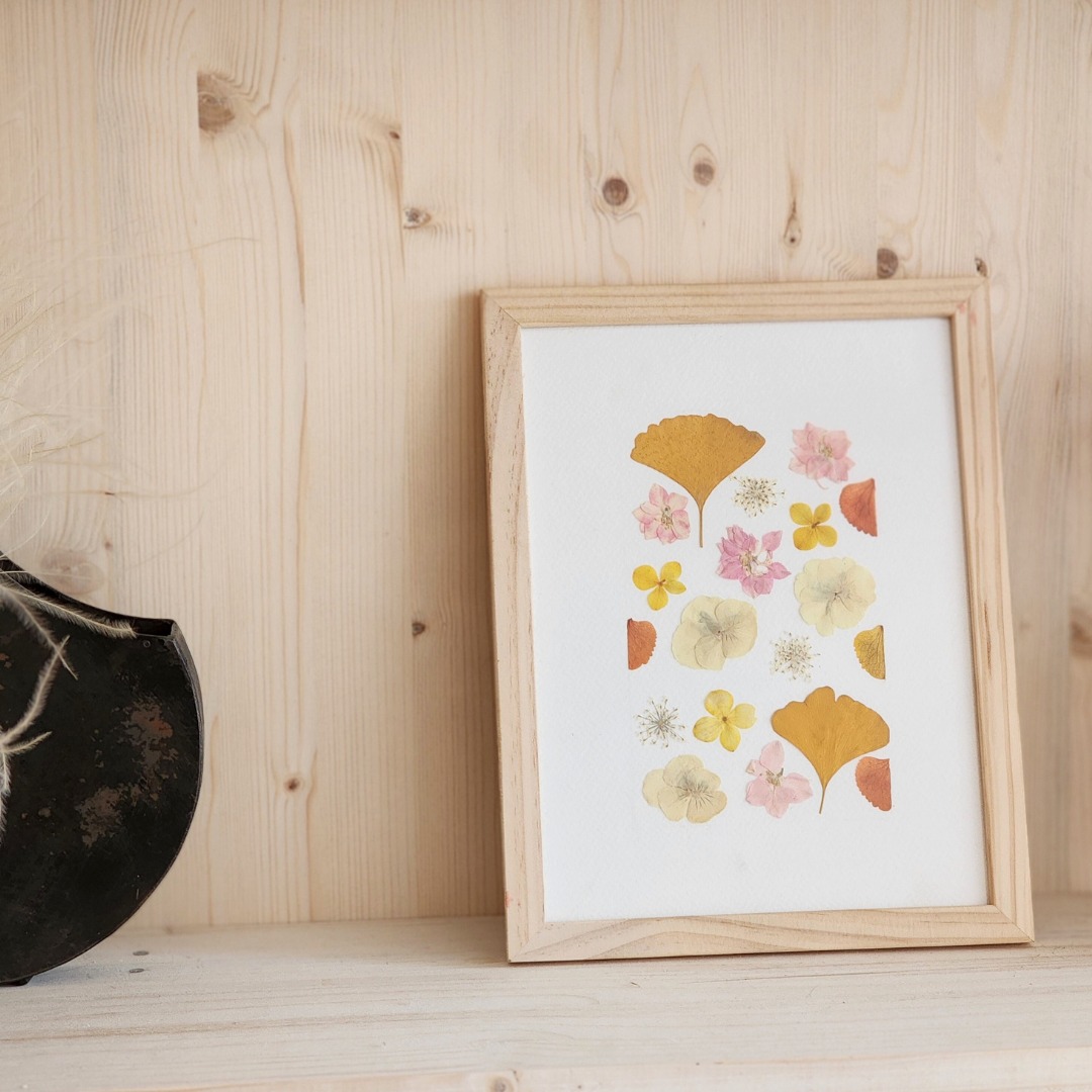 atelier fleurs séchées herbiers