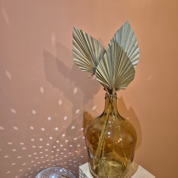 feuilles de palme pour botte