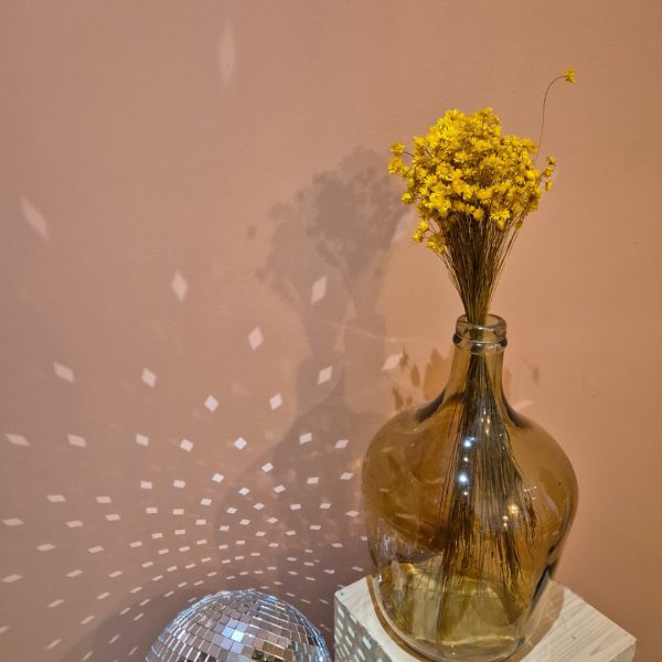 glixia fleurs séchées jaune