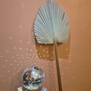Grande feuille de palme