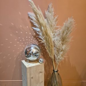 herbes de pampa