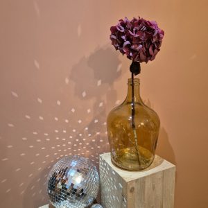 hortensia stabilisée bordeau