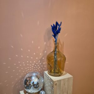 lagurus fleurs séchées bleues