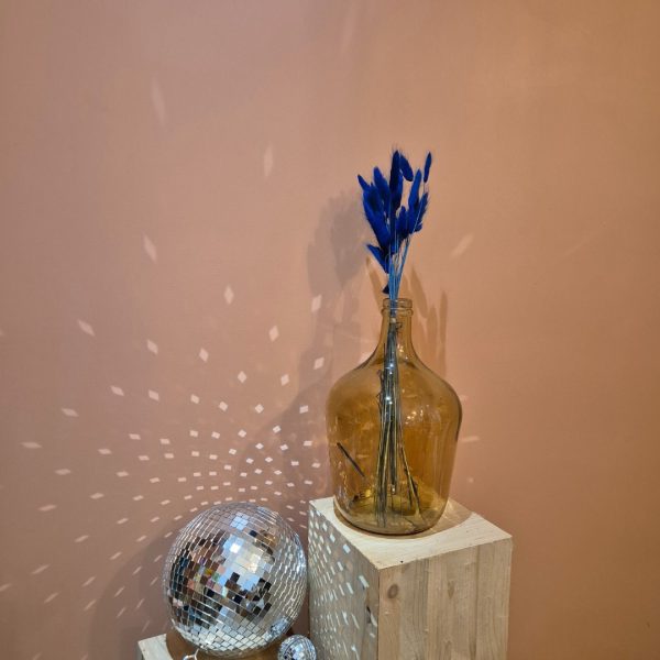 lagurus fleurs séchées bleues