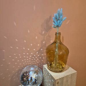 lagurus fleurs séchées bleu clair