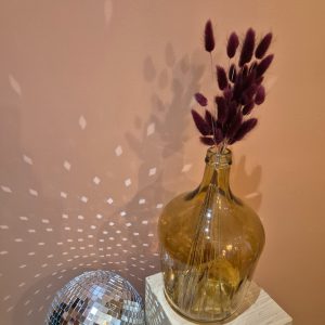 lagurus fleurs séchées bordeau