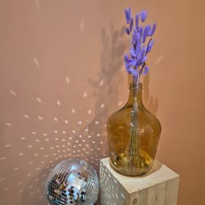 lagurus fleurs séchées violet clair