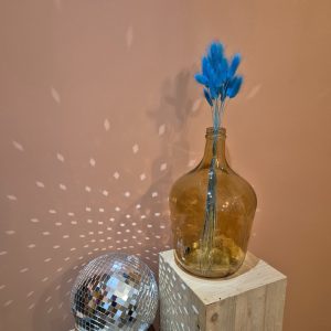 lagurus séchées bleu turquoise