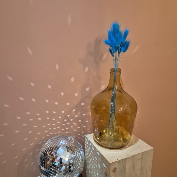 lagurus séchées bleu turquoise