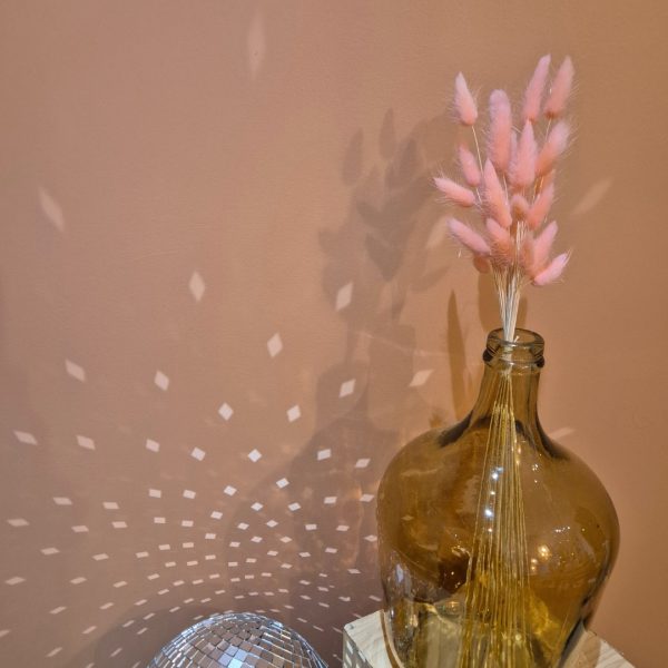 lagurus séchées rose