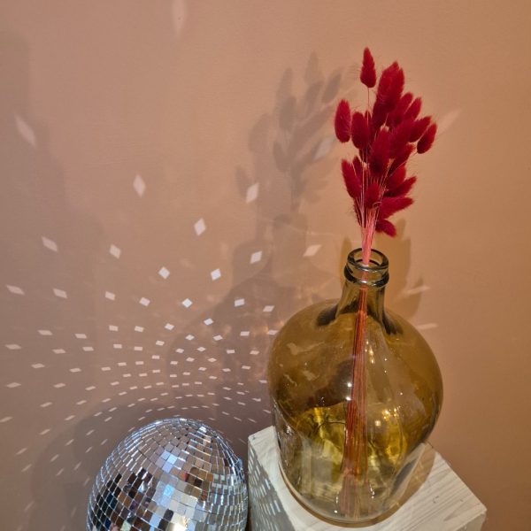 lagurus séchées rouge