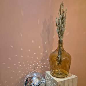 spiga d'or