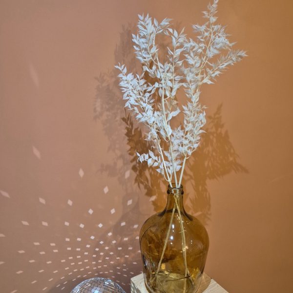 vase transparent branches blanches ruscus