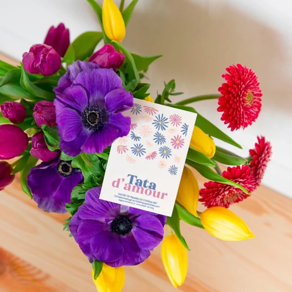 Sachet de graines de Cosmos - Tata d'amour – Image 2