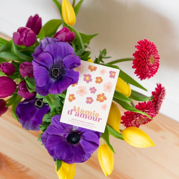 Sachet de graines de Pensée - Mamie d'amour – Image 2