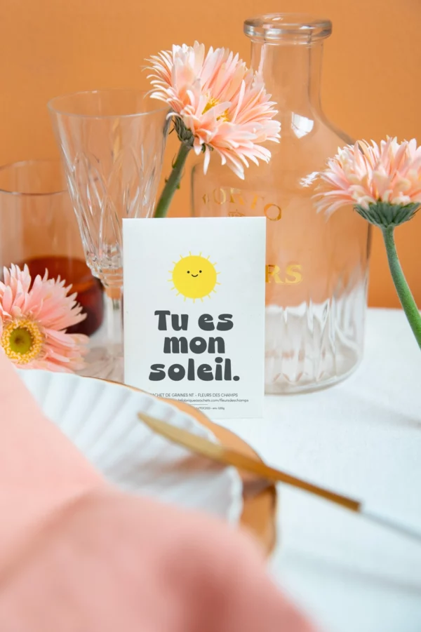 Sachet de graines de Fleurs des champs - Tu es mon soleil – Image 2