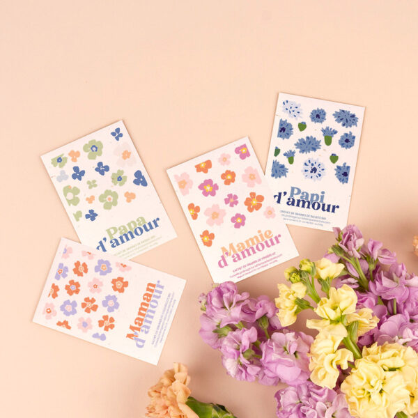 Sachet de graines de Basilic - Papa d’amour – Image 3