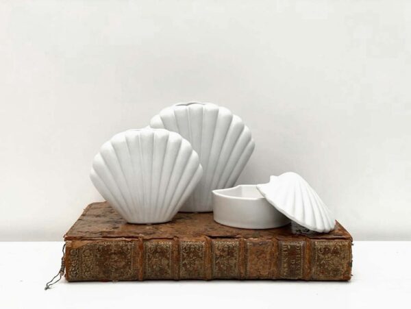 Boîte coquillage blanc – Image 2