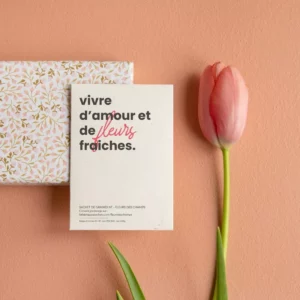 Vivre d'amour et de fleurs fraiches - Sachet de graines de Fleurs des Champs