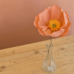 Atelier Fleur en papier