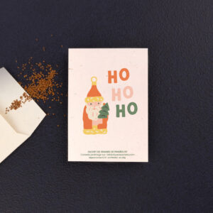 Sachet de graines de Pensée - Ho ho ho